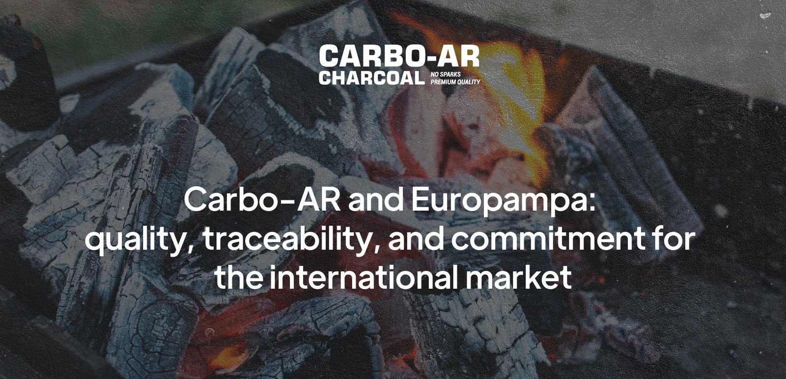Carbo-AR carbón vegetal de alta calidad para parrillas